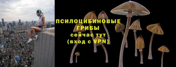 дурь Белоозёрский
