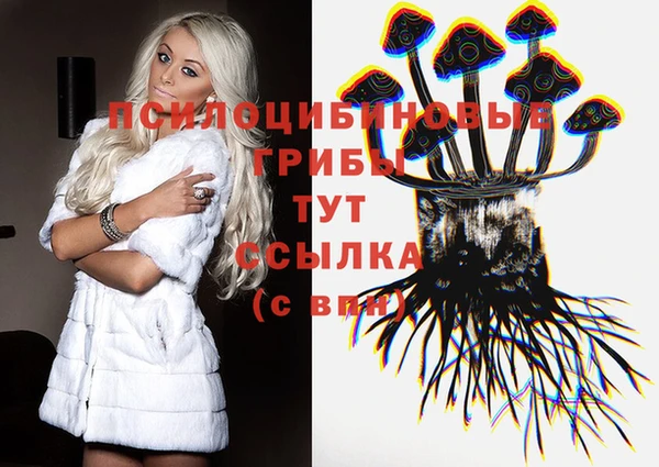 mdpv Белокуриха