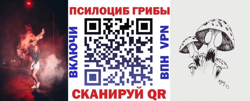 Купить где  Нелидово  Галлюциногенные грибы GOLDEN TEACHER 