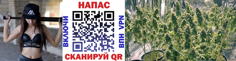 Шишки марихуана THC 21% Купить Нелидово